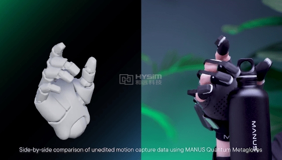 Manus VR8.png